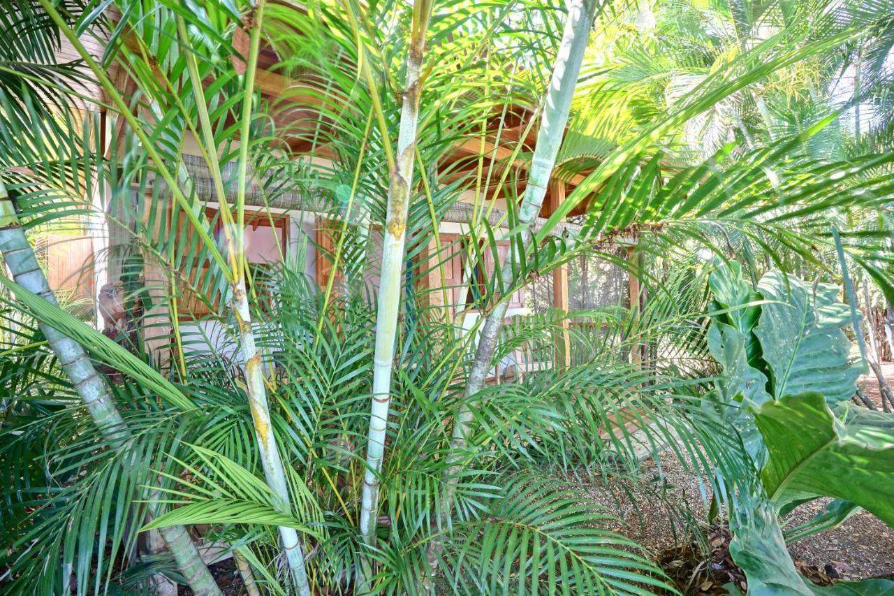 Calamocha Lodge Playa Santa Teresa  Exteriör bild