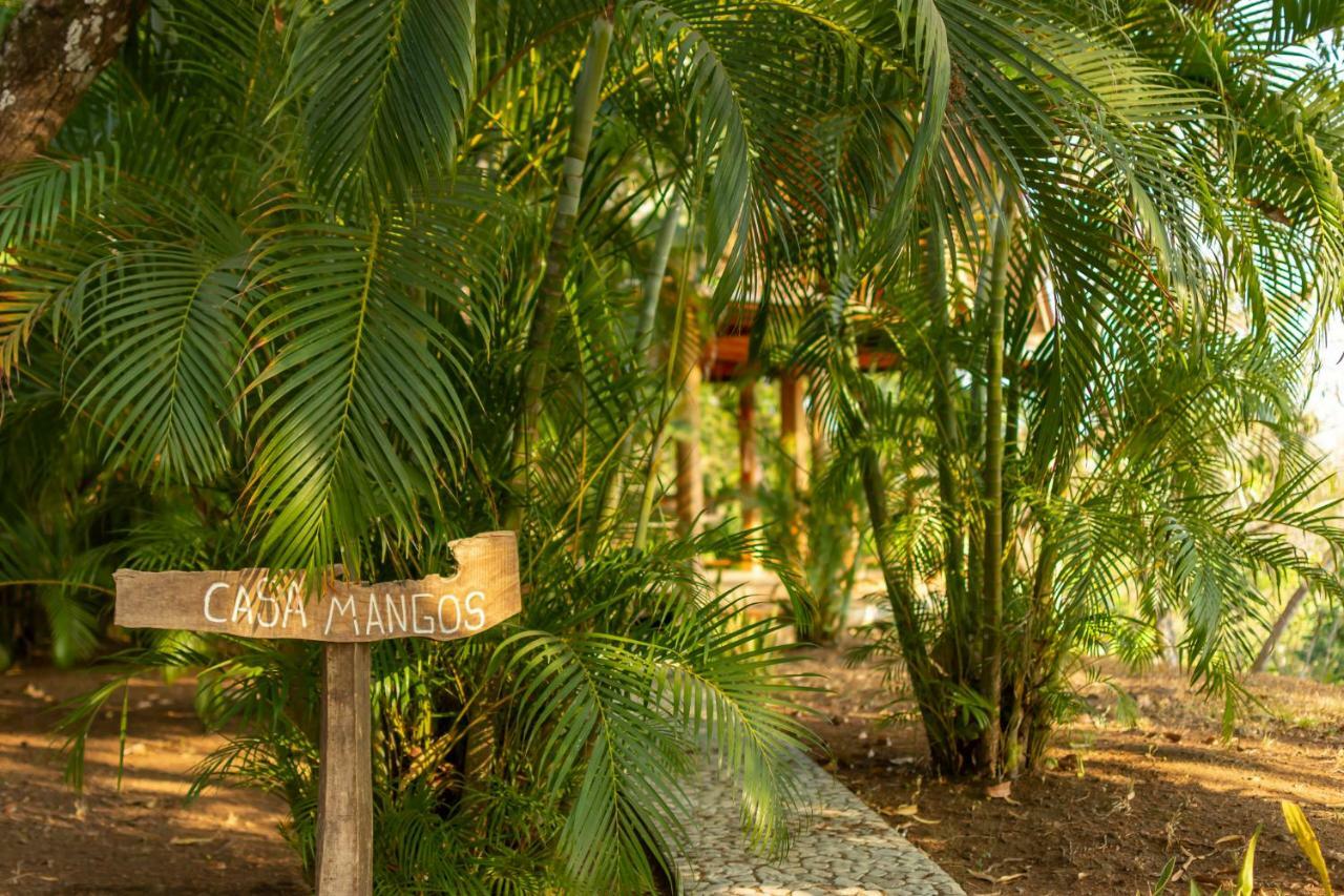 Calamocha Lodge Playa Santa Teresa  Exteriör bild